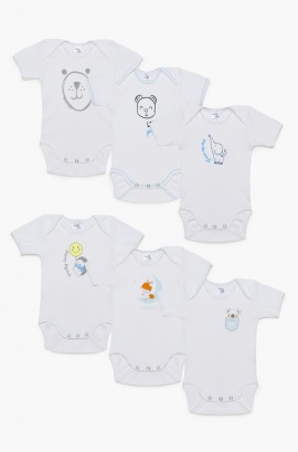 product name