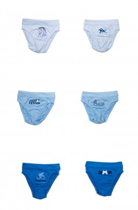 product name