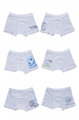 product name