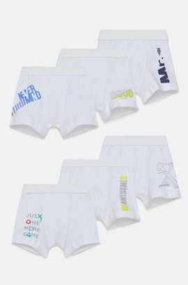 product name